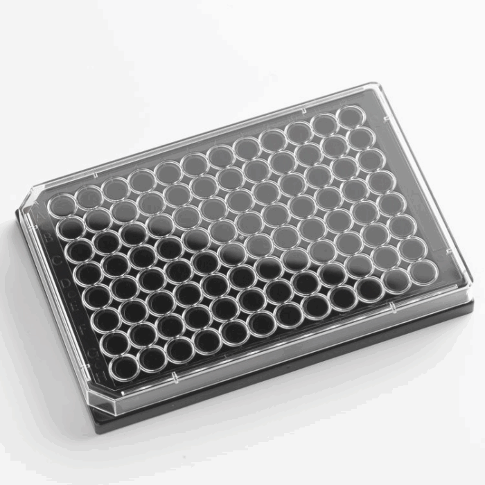 96 Well Plate with Lid. Glass Bottom. Black Sides. Individually wrapped. Sterile
