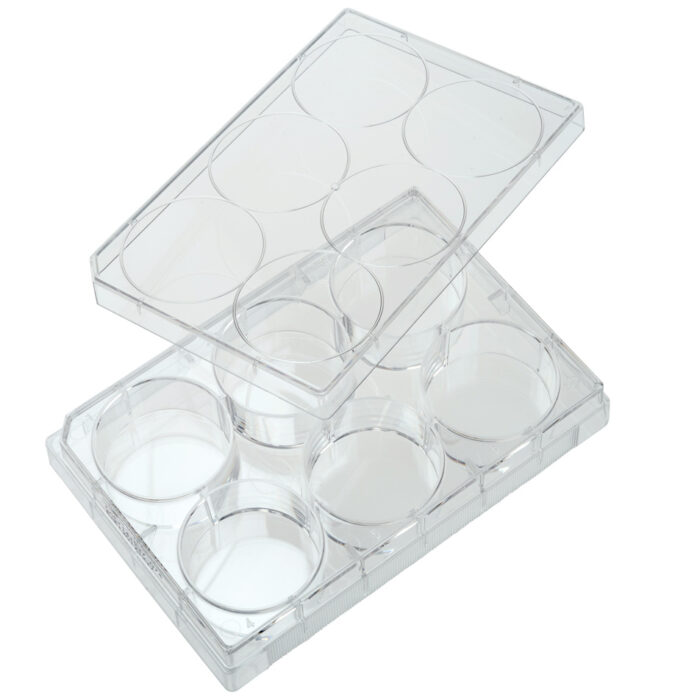 6 Well Tissue Culture Plates Flat Bottom with Lid Non-Treated Sterile