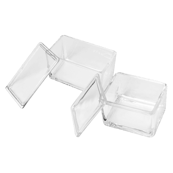Sono Slide Staining Jar
