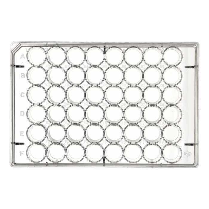 48 Well Tissue Culture Plates Flat Bottom with Lid Non-Treated Sterile