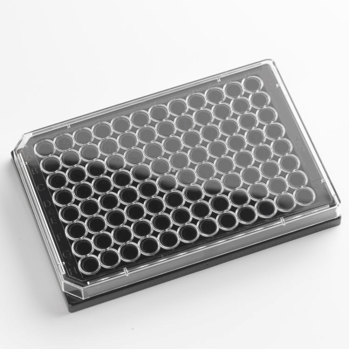 96 Well Plate with Lid. Glass Bottom. Black Sides. Individually wrapped. Sterile