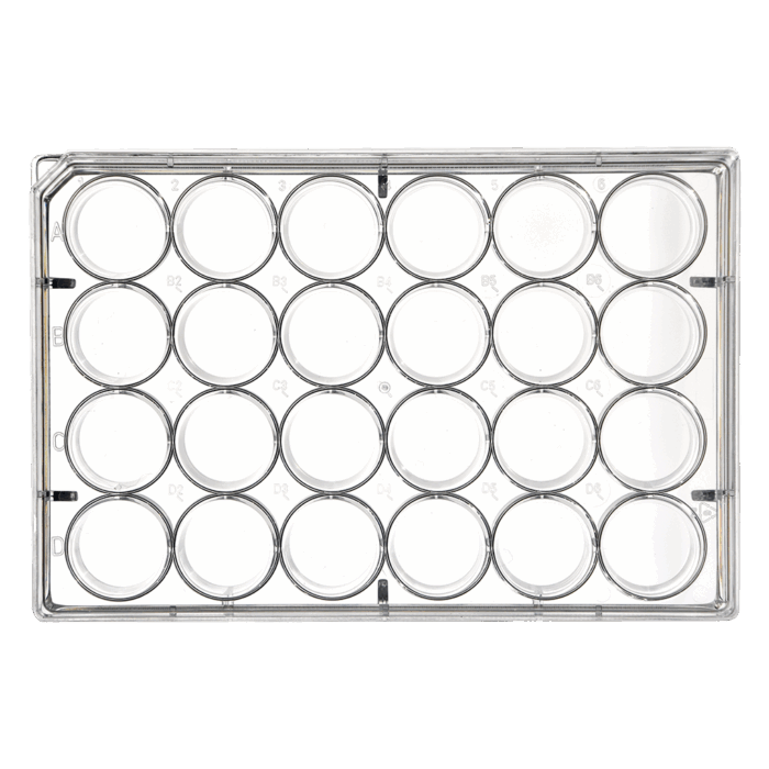 24 Well Tissue Culture Plates Flat Bottom with Lid Non-Treated Sterile