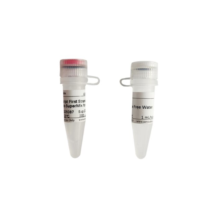 SweScript First-Strand cDNA SuperMix (PCR)