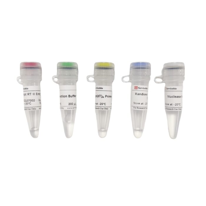 SweScript RT II First-Strand cDNA Synthesis Kit
