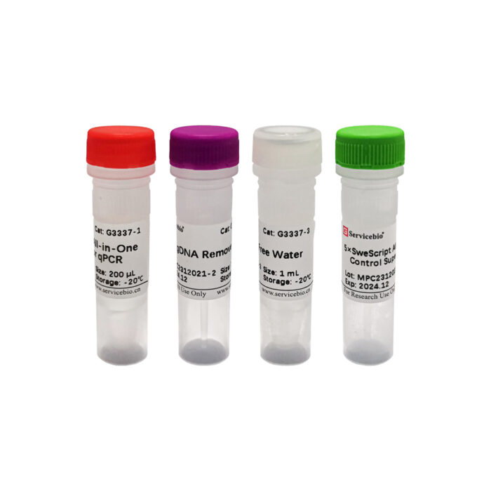 One-Tube gDNA Removal + RT (for qPCR)