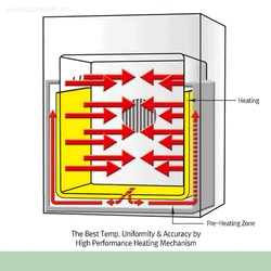 DAIHAN Ovens. Forced Convection - Image 3