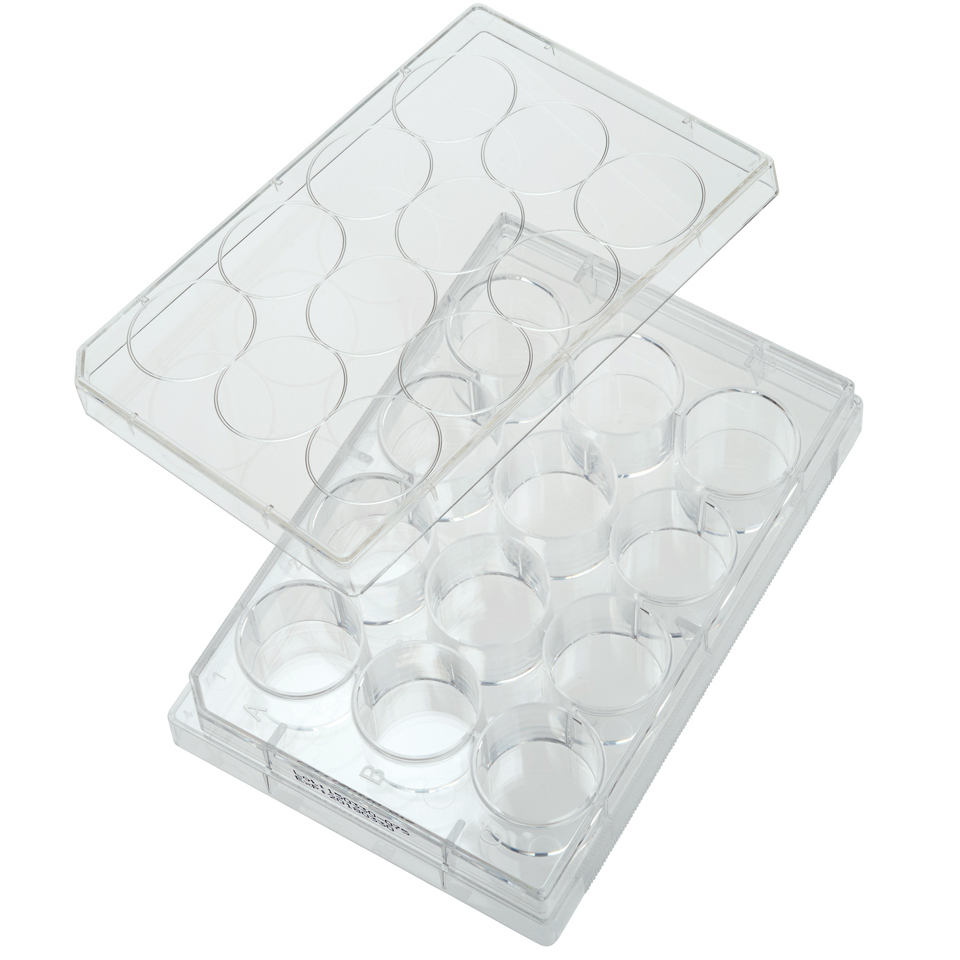 12 Well Tissue Culture Plates Flat Bottom with Lid Treated Sterile