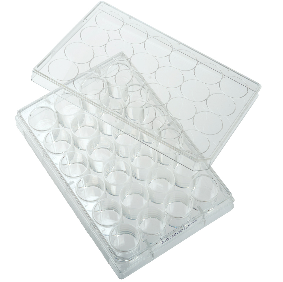 24 Well Tissue Culture Plates Flat Bottom with Lid Treated Sterile