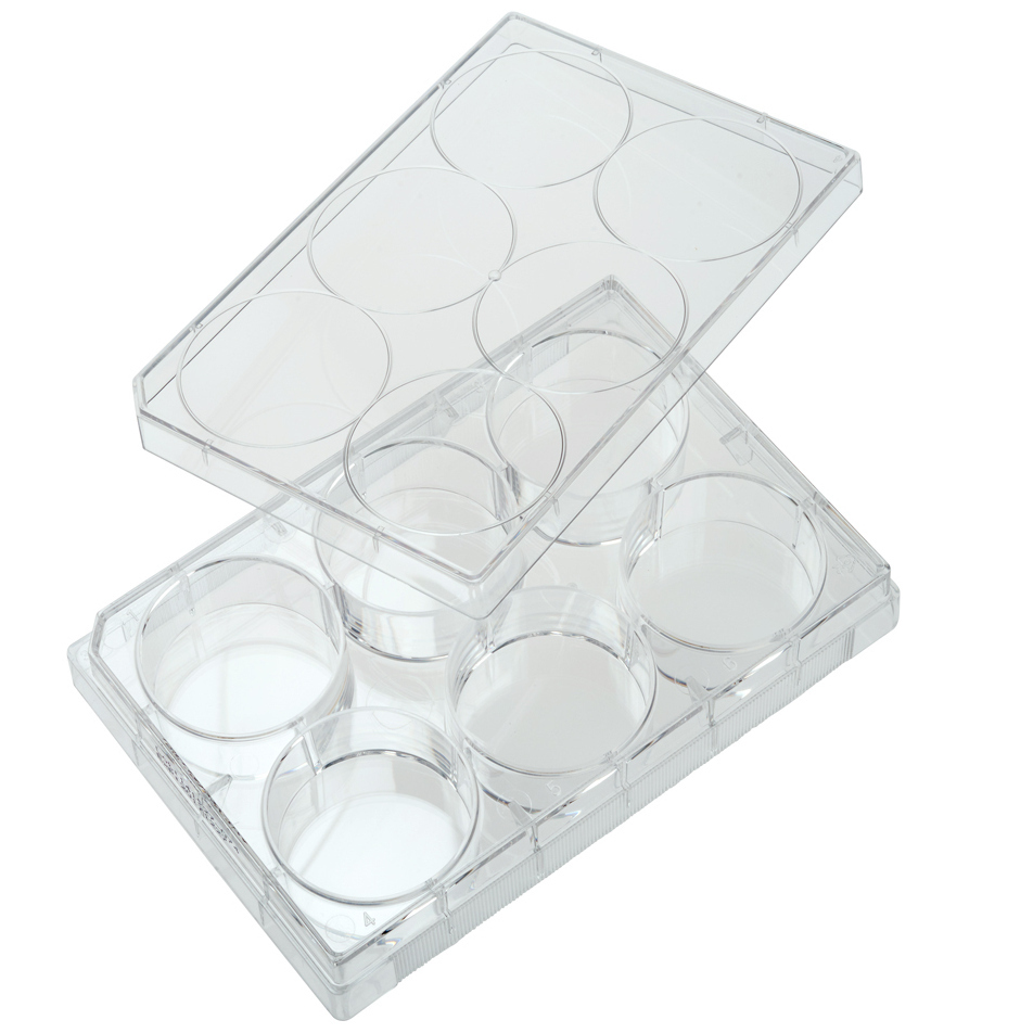 6 Well Tissue Culture Plates Flat Bottom with Lid Treated Sterile