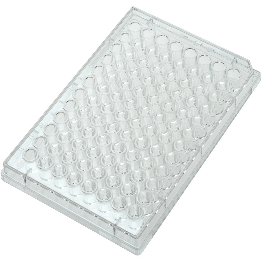 96 Well Tissue Culture Plates Flat Bottom with Lid Treated Sterile