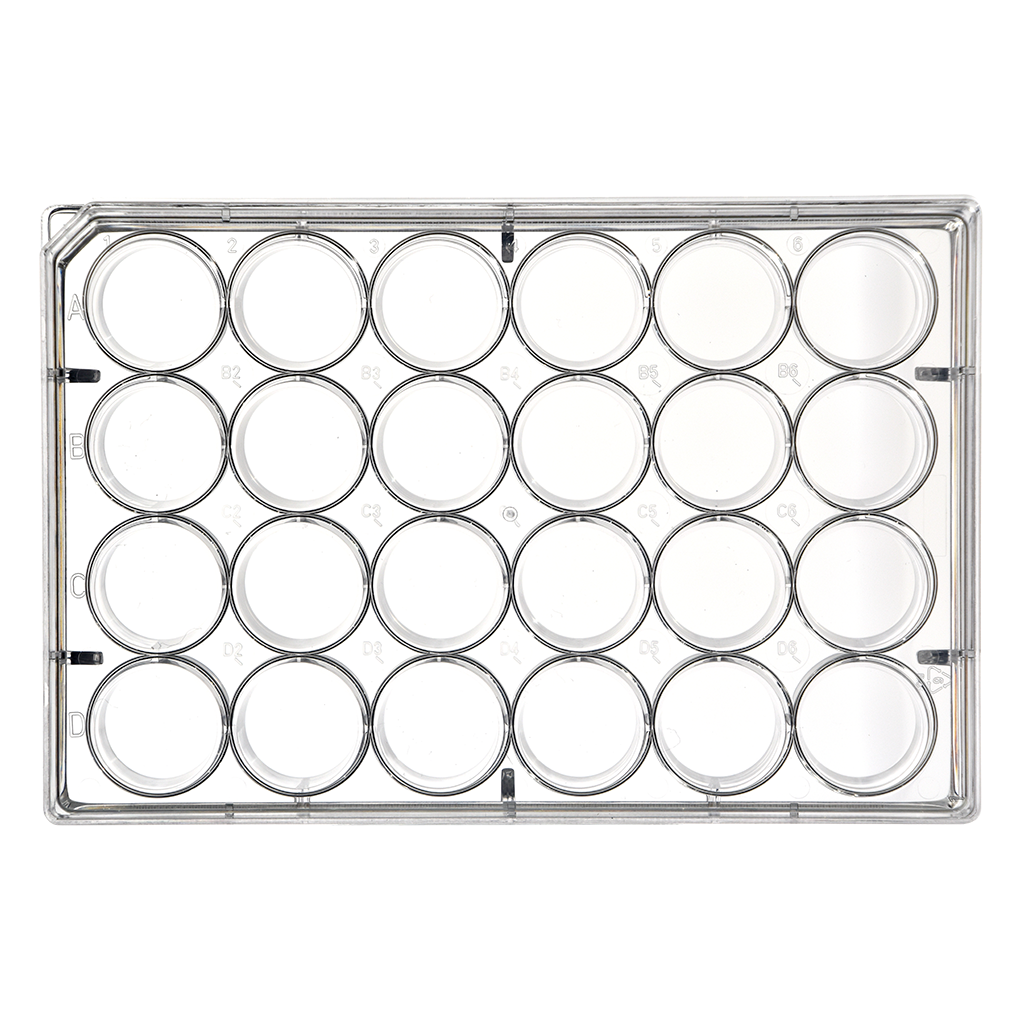 24 Well Tissue Culture Plates Flat Bottom with Lid Non-Treated Sterile